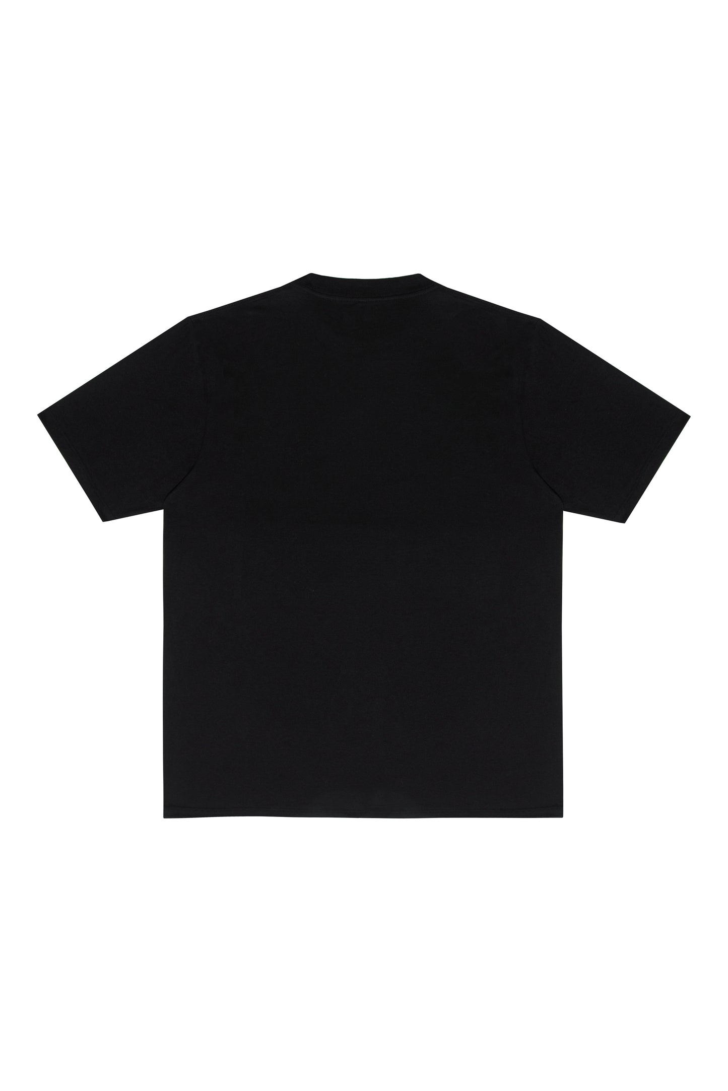 Camiseta Plano C Climbing Roses